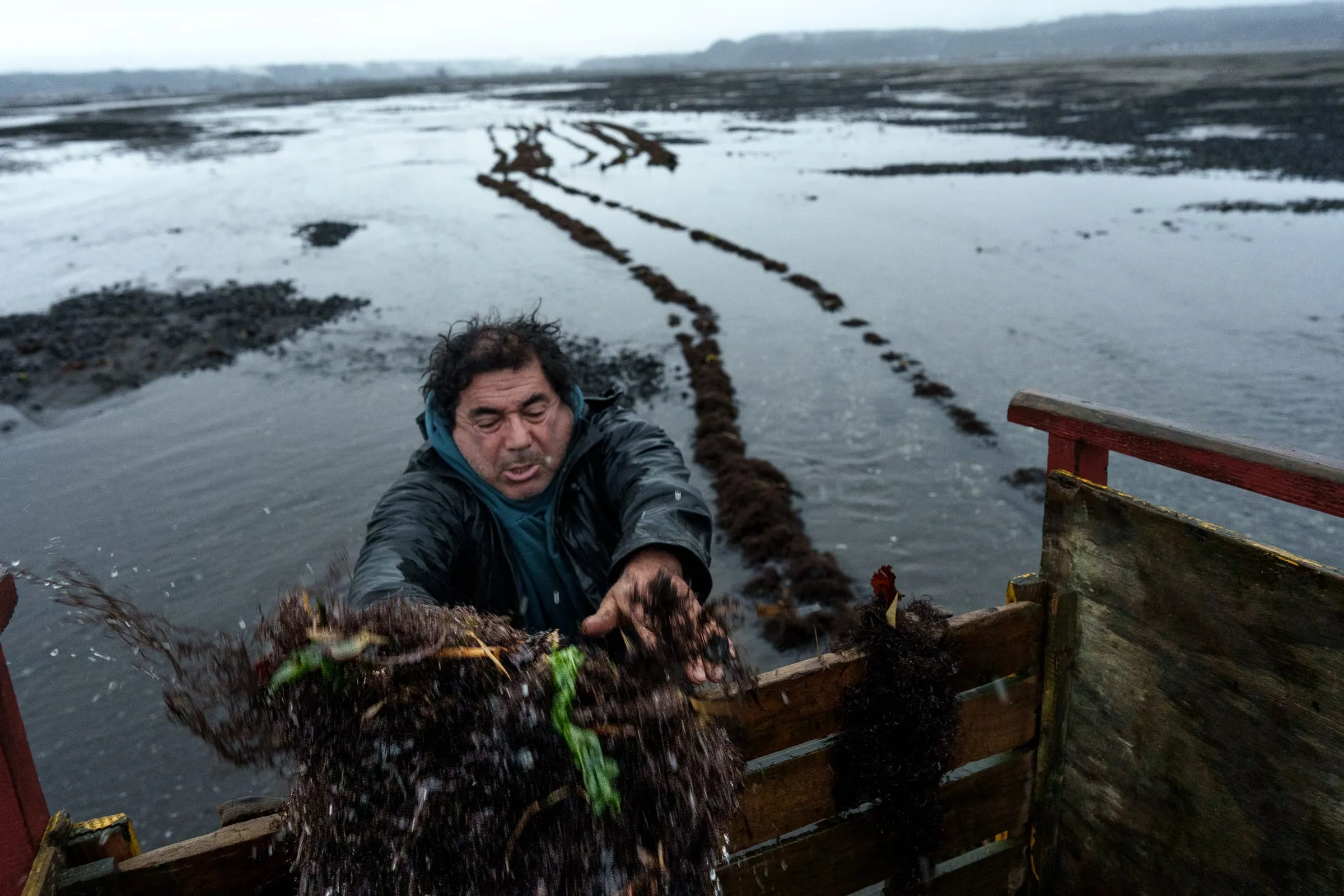 Marcelo, 56, began working as an “alguero” (seaweed harvester) when he was just ten years old. He has worked in the trade ever since and is known for his strong work ethic, often harvesting even in unfavorable conditions. “Working on the seashore is like therapy for me,” he says. Coihuin, Los Lagos Region, Chile.