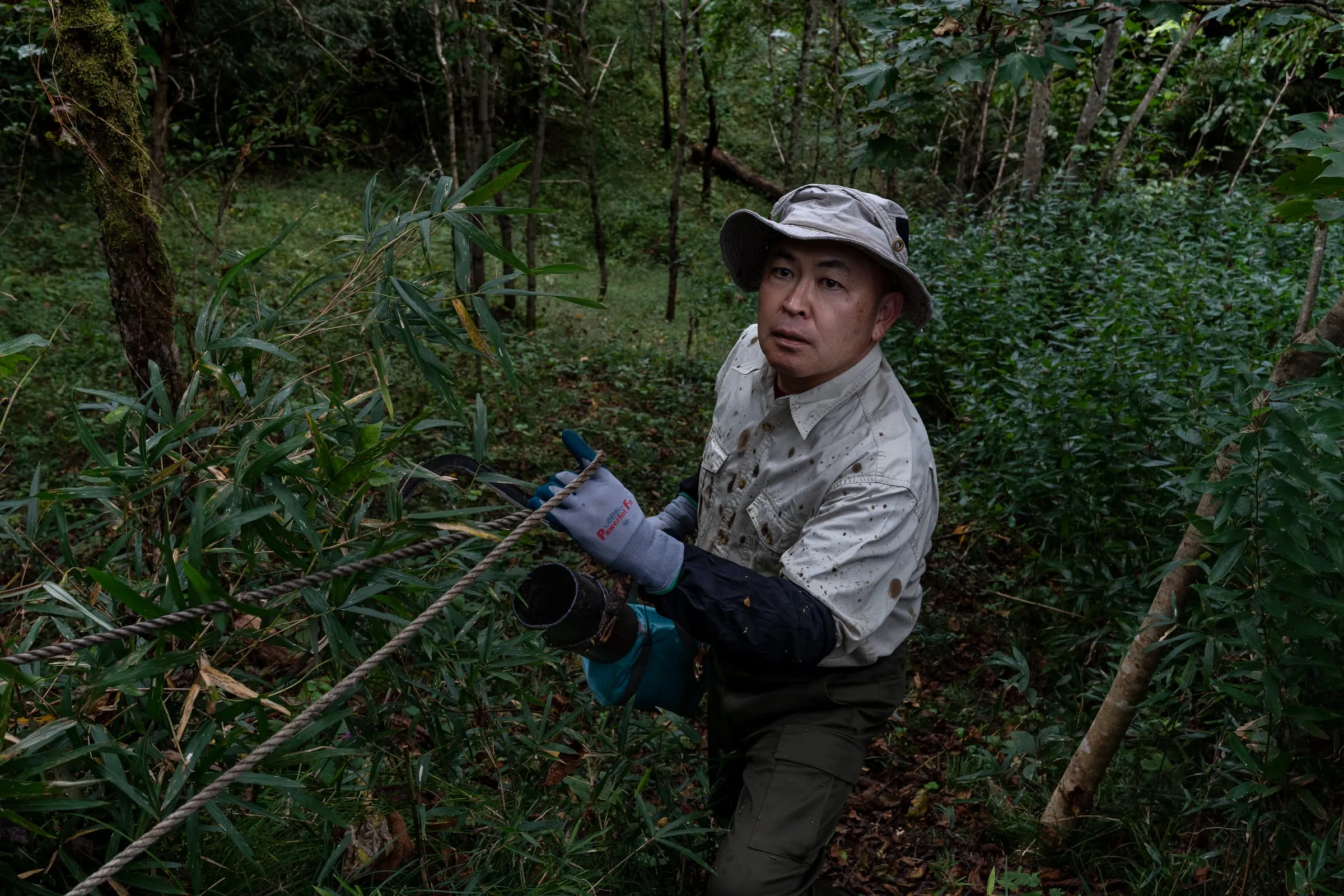 Tsuji, 61, ventures into the forests of Daigo, Ibaraki Prefecture, to collect lacquer sap. Although production in Japan has sharply declined, domestic urushi is still regarded as the highest-quality lacquer in the world for its clarity and durability. Tsuji continues the centuries-old tradition of sap harvesting, working by hand with tools passed down through generations.