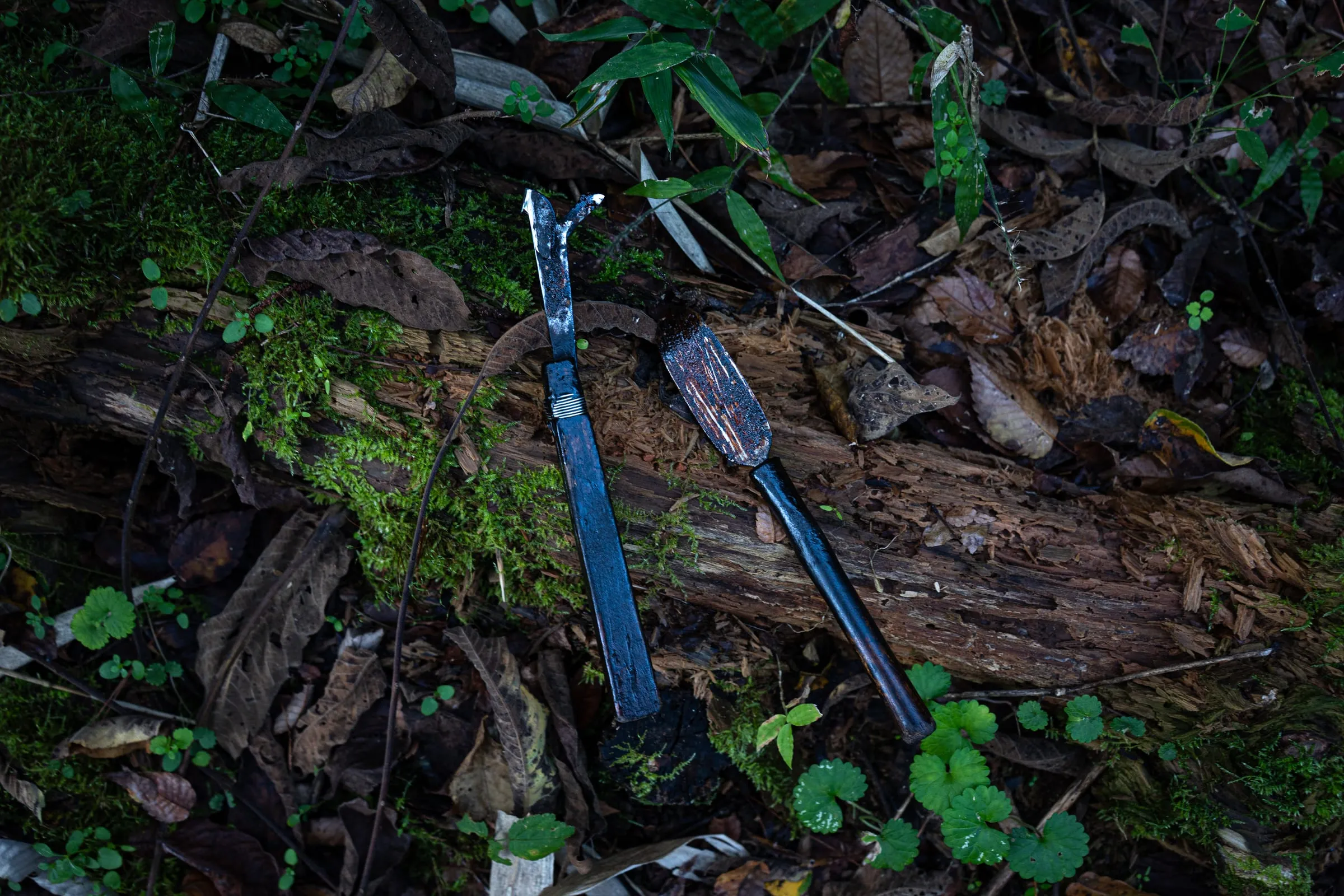 Traditional tools used for urushi tapping. The urushi kanna (left) is used to make precise, slanted cuts in the bark to release the sap. The hera (right), a spatula-like tool, is used to collect the dripping sap into a container.
