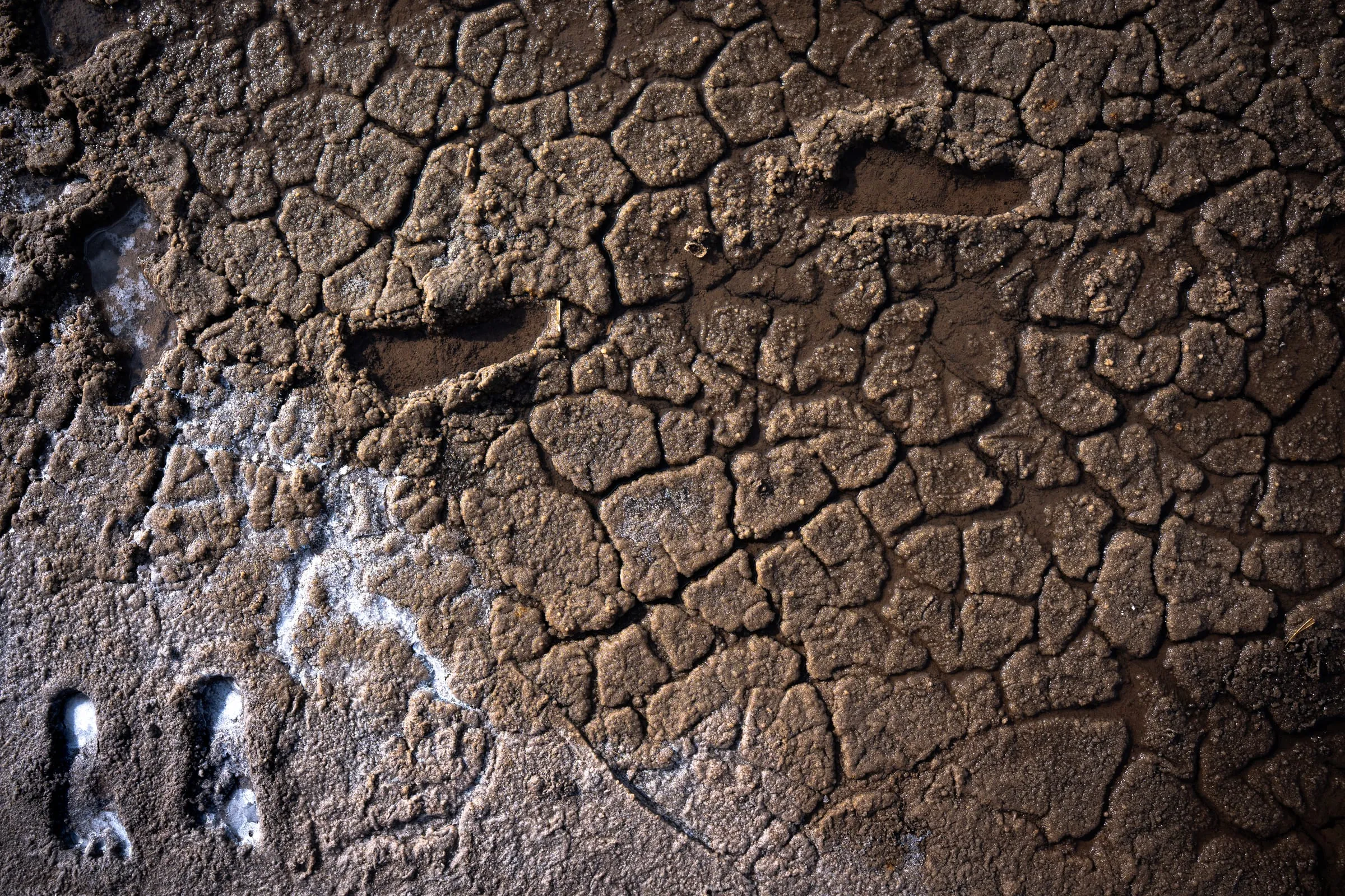 Footprints along the edge of a salt pool in Maliya, Gujarat, India. Rising temperatures have made evaporation cycles increasingly unpredictable, affecting salt production and endangering the safety of workers exposed to extreme heat. The timing and intensity of the monsoon are critical to the salt-making calendar, as unseasonal rains can flood the pans and destroy entire harvests, often forcing workers to halt or delay operations.
