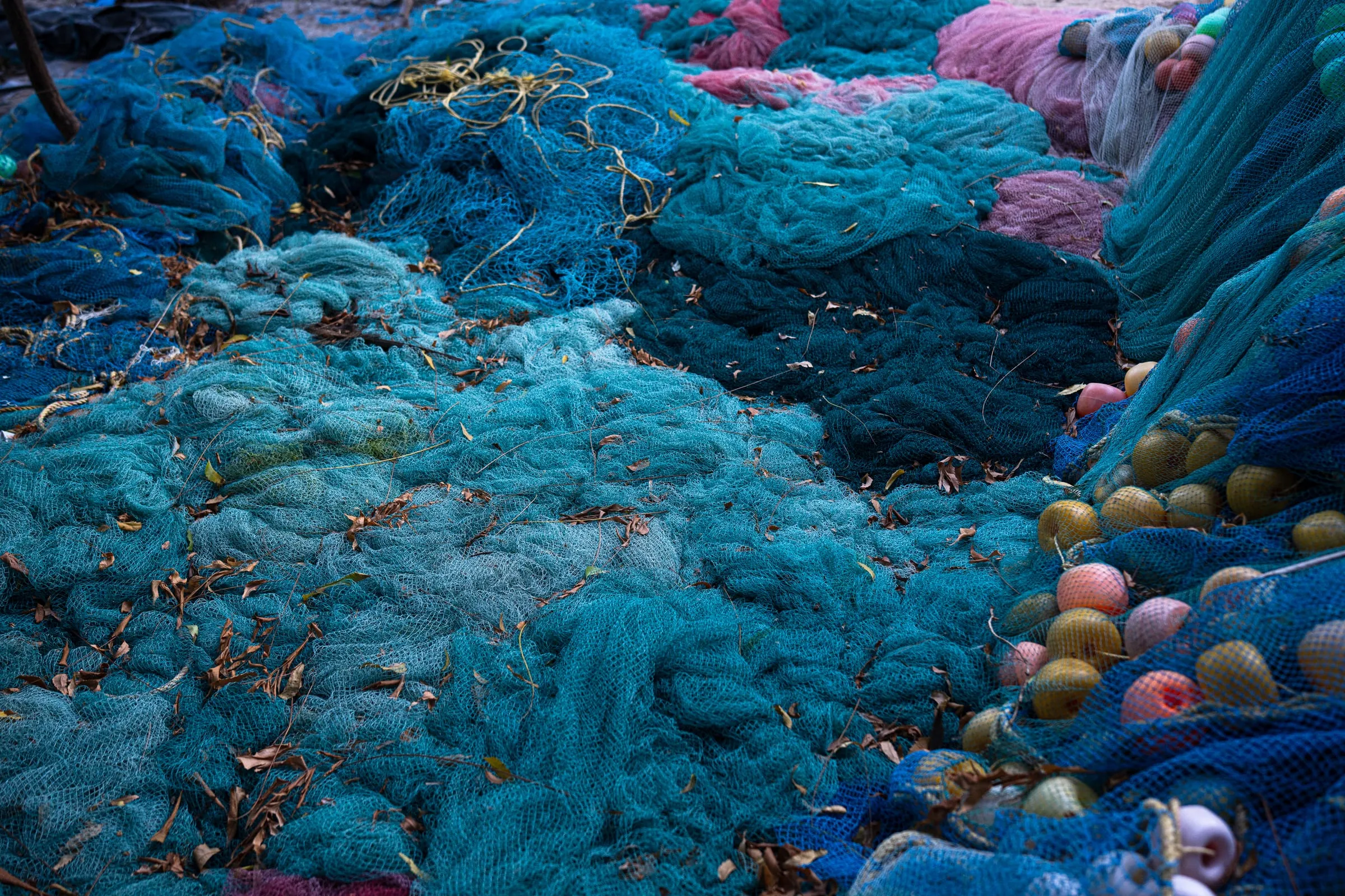Mary’s husband, Rajendran, stacks fishing nets on the terrace of their home in Rameswaram, a town where most men work in the fishing industry. While fishing remains the main livelihood for men, many women in the community have turned to seaweed harvesting to supplement household income.