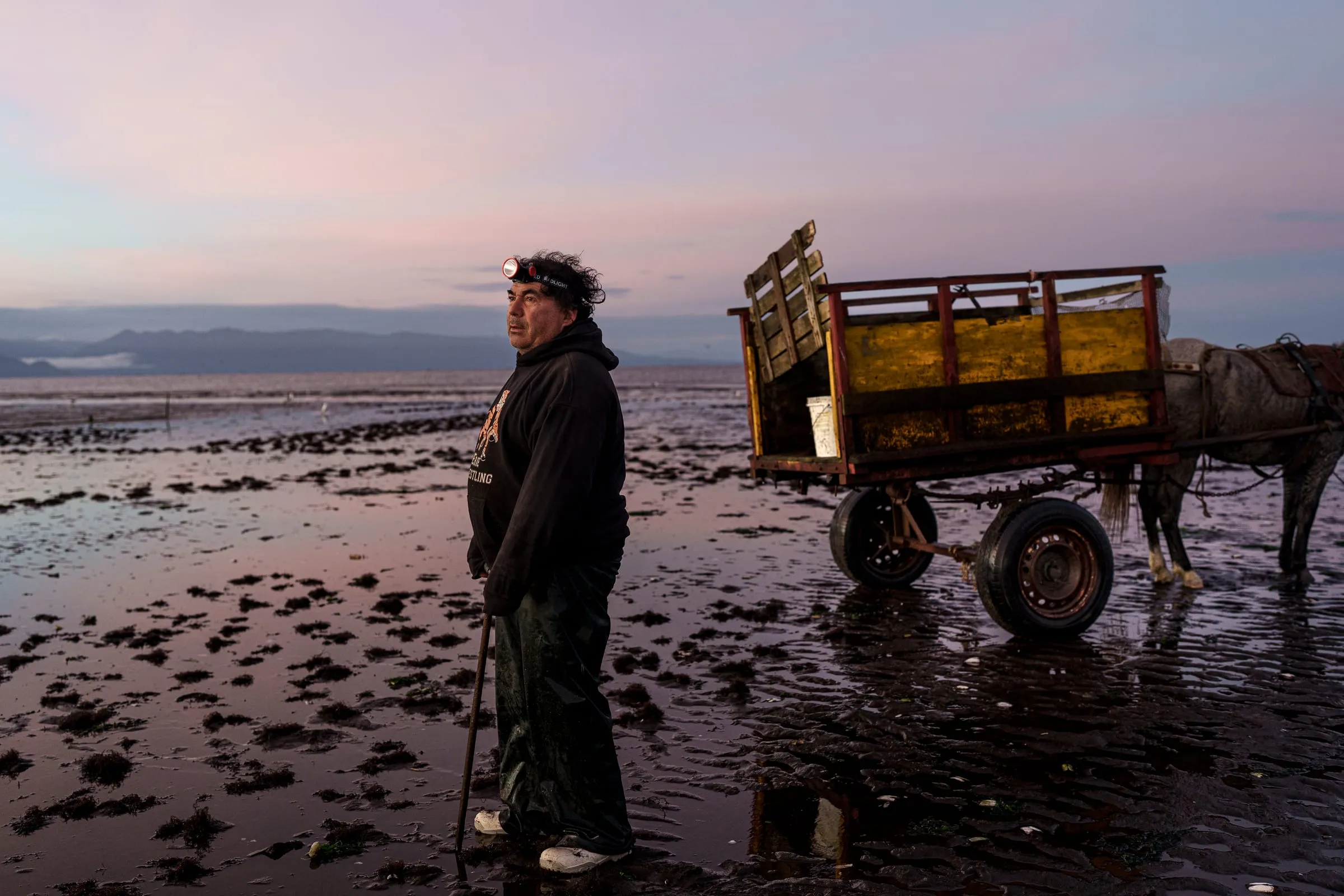 Marcelo poses during a break in a day of pelillo planting. In his community, he is known as an tireless worker, recognized for maintaining one of the most demanding work rhythms regardless of weather conditions. Before dawn, he heads to the beach with his cart to harvest or cultivate pelillo, a seaweed that grows in coastal areas covered by the sea. “Working here by the ocean is therapy for me—it’s how I relax,” he says. For decades, pelillo was the main source of income for coastal communities such as Coihuín, Río Mar, and Chamiza. Today, due to the lack of generational renewal and price volatility, the activity has lost its prominence, and only a few dozen seaweed harvesters continue the trade.