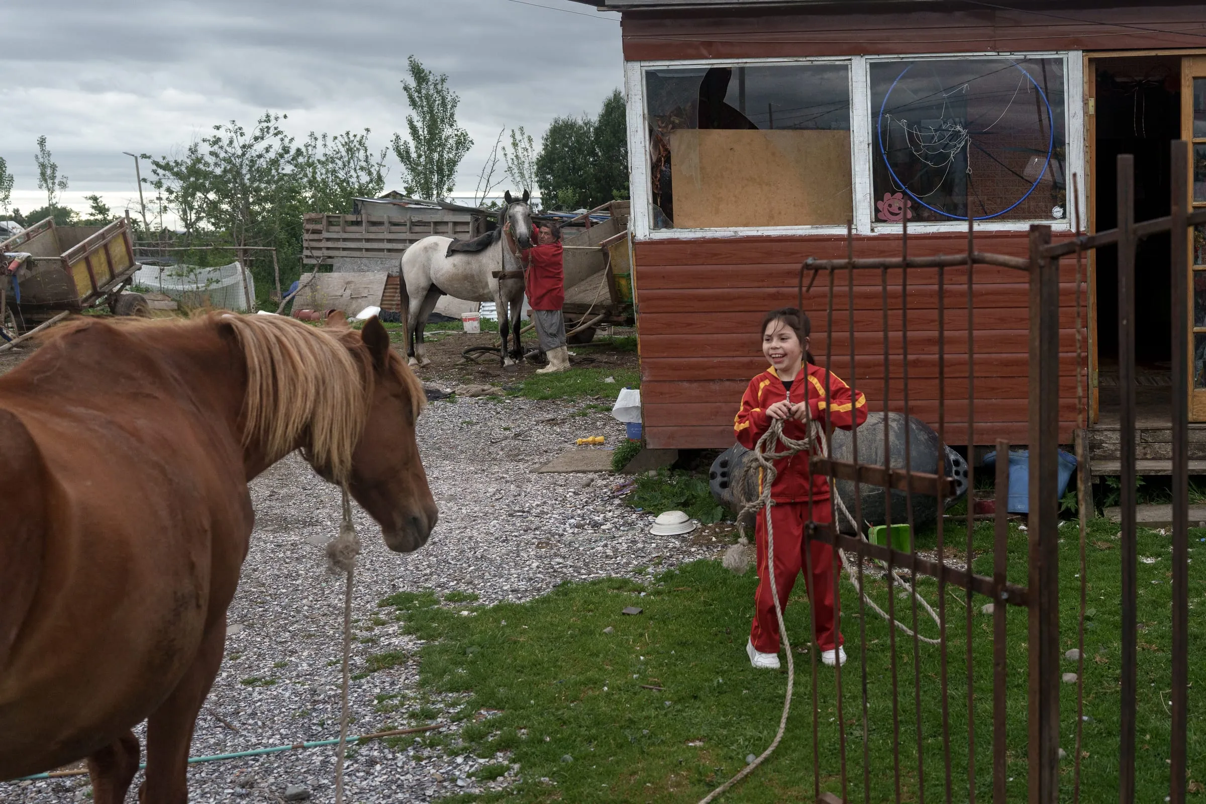 Tiare, 7, helps her grandfather Marcelo by bringing the mare to prepare a second cart. The use of horse-drawn carts became common in Coihuín in the early 2000s, replacing ox carts and more rudimentary methods—such as transporting harvested pelillo in nylon nets—previously used to move the seaweed.