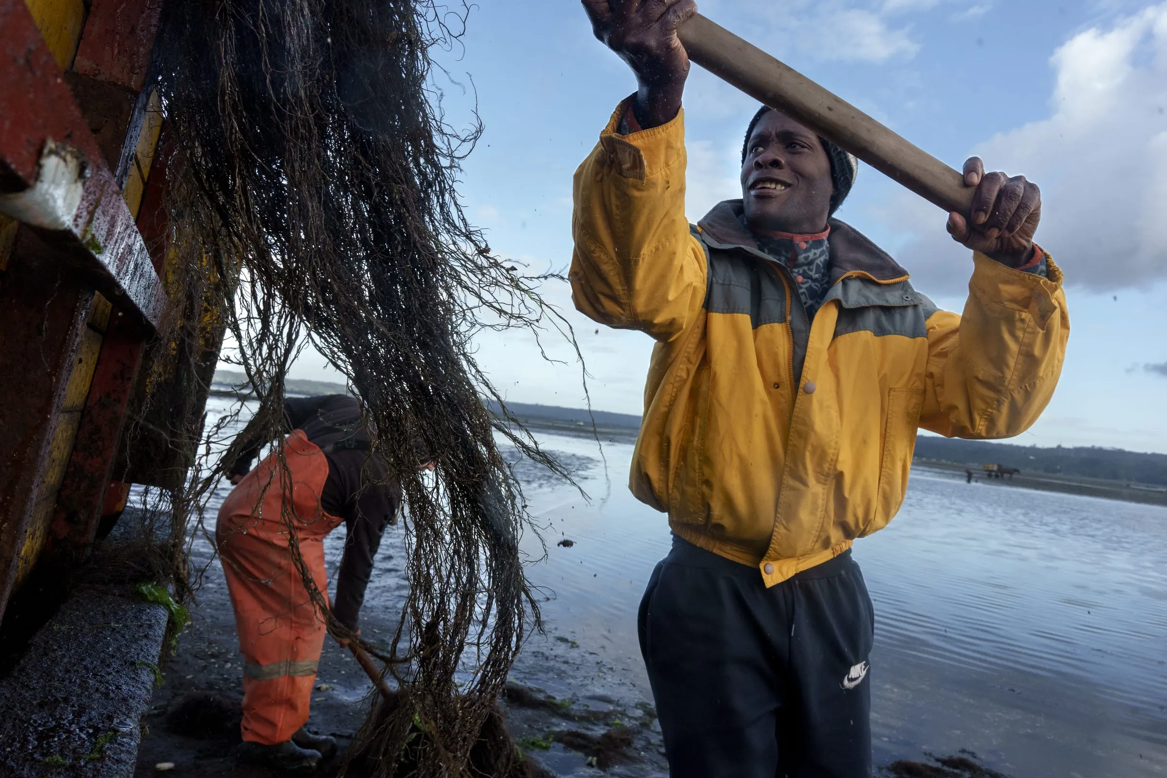 Yasniel, 36, migrated from Cuba seven years ago. After working initially in Osorno, he is now seeking opportunities in pelillo harvesting in Coihuín. Overexploitation and clonal domestication have reduced the algae’s genetic diversity, while rising sea temperatures and ocean acidification further threaten its survival. Coihuín, Los Lagos Region, Chile.